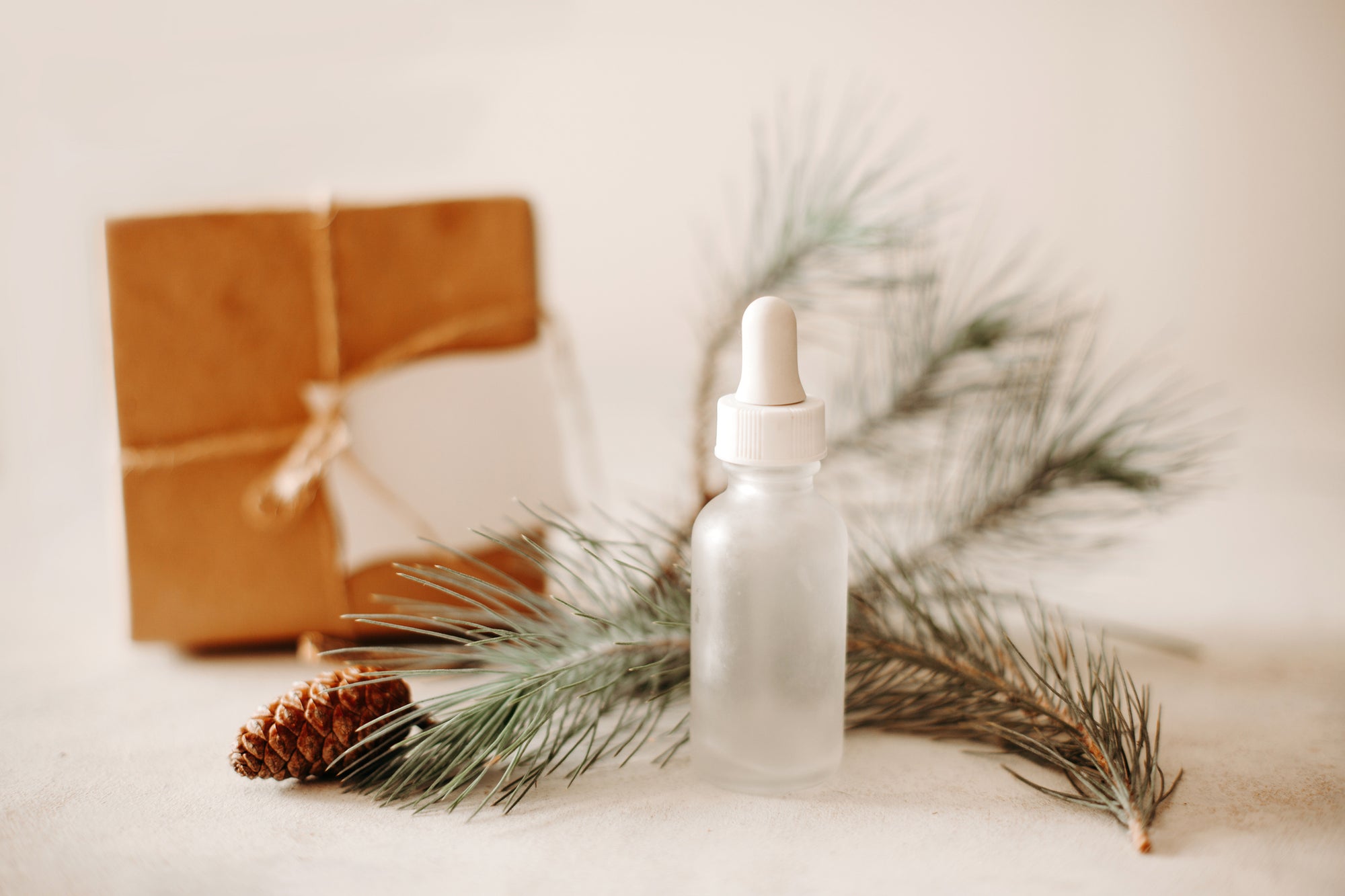 Essential Oils for Winter + Tips from an Aromatherapist