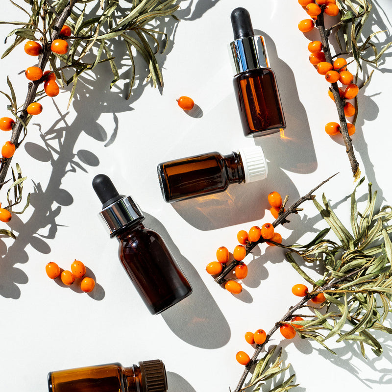 Responsibly Grown Sea Buckthorn Berry Oil – Ingredient Spotlight