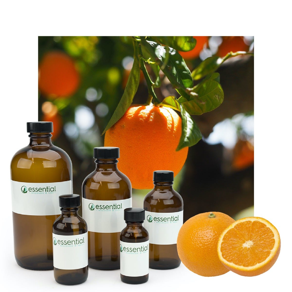 Sweet Orange Essential Oil (Responsibly Grown)