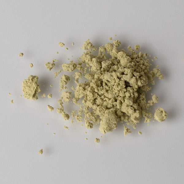 Kelp Powder - Atlantic (Certified Organic)
