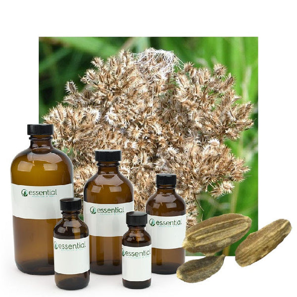 Wholesale, Essentials Aromatherapy