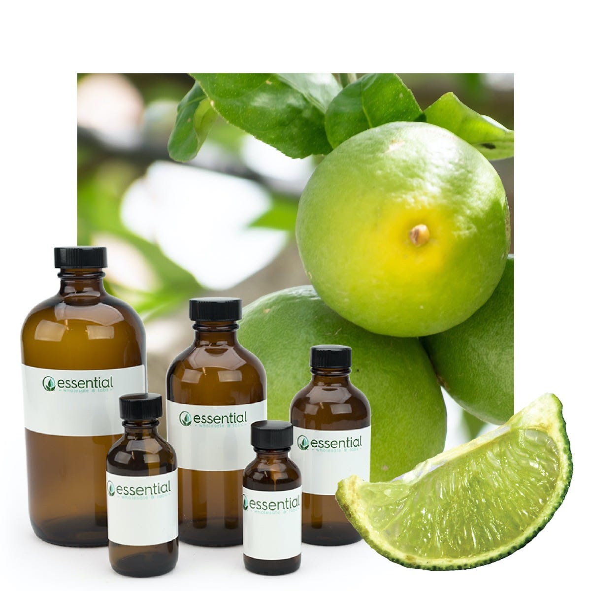 Lime Essential Oil (Certified Organic)