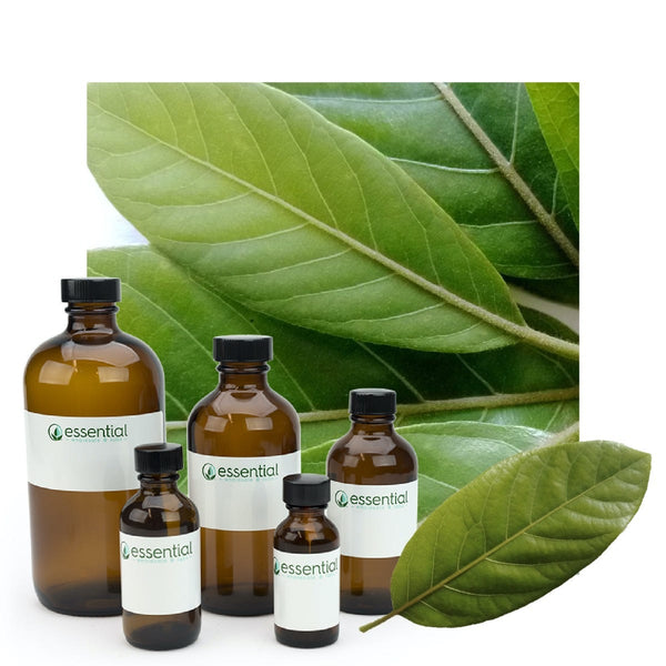 Litsea Essential Oil