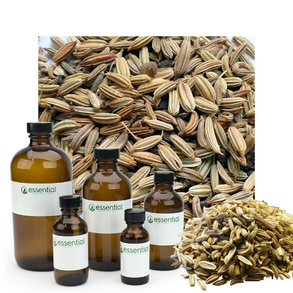 Sweet Fennel Essential Oil